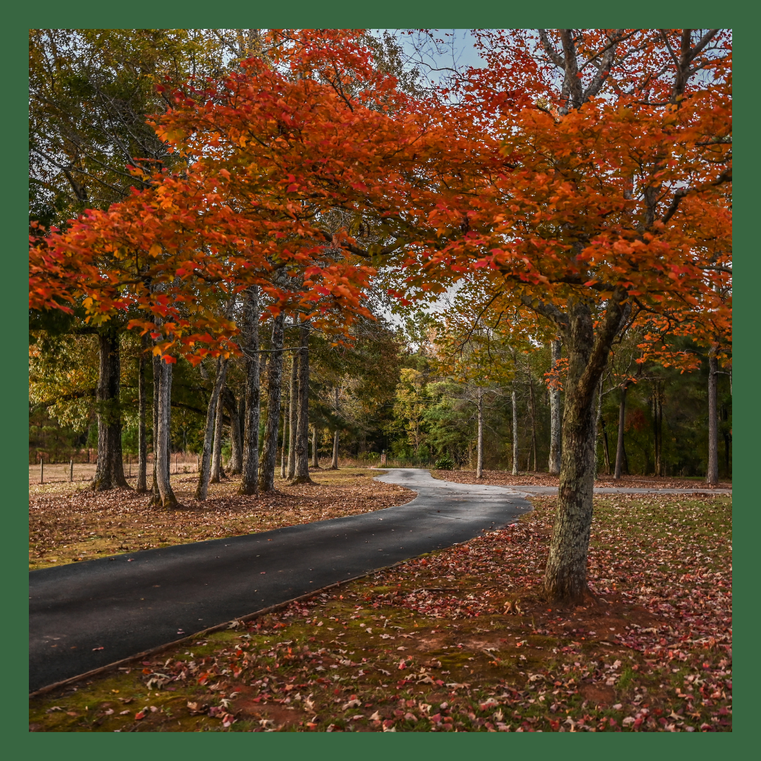 Fall is for Planting: Why Autumn is the Secret Season for Gardeners